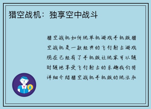 猎空战机：独享空中战斗