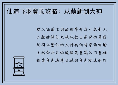 仙道飞羽登顶攻略:从萌新到大神